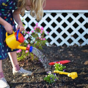 A child waters a plant with a colorful plastic watering can in a garden with purple flowers and a white lattice fence.